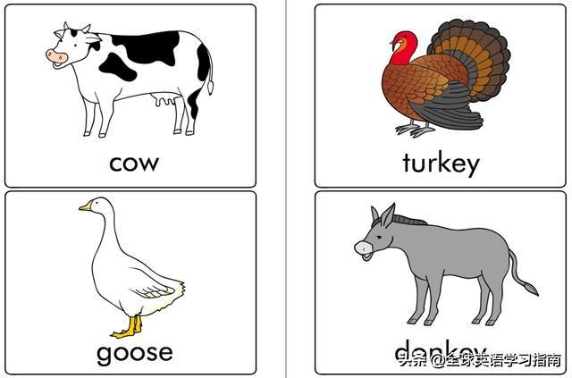 图片[27]-113张图让你记住所有动物类英语单词，分类汇总，建议收藏起来-笑傲英语网
