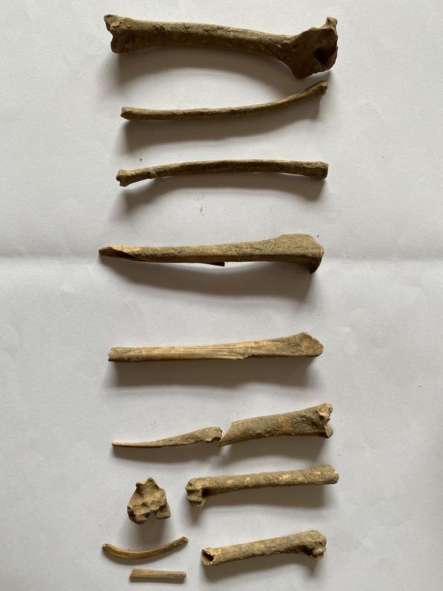 “反腐英雄”之女失踪30年疑云