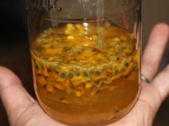 26種精致水果酒，泡制方法簡單，先收藏起來，夠你學一陣子了