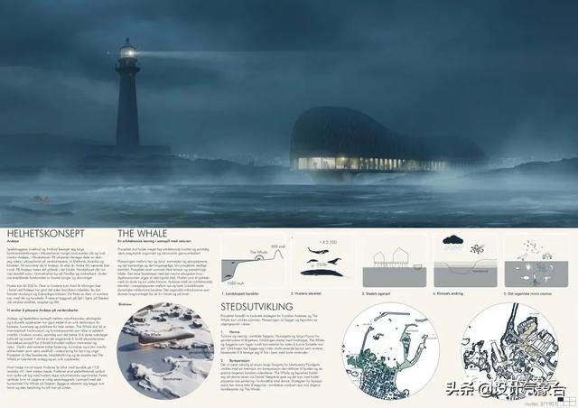 BIG惜败！再牛的方案也比不过一头鲸