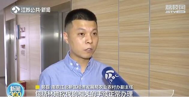 南京：&ldquo;杀害&rdquo;树木也入刑！附近居民：手段残忍