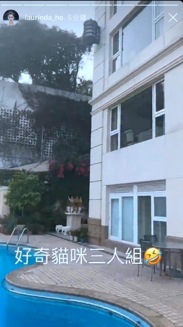 何超莲送别赌王后首更新动态，曝光窦骁入住三太豪宅同居“试婚”