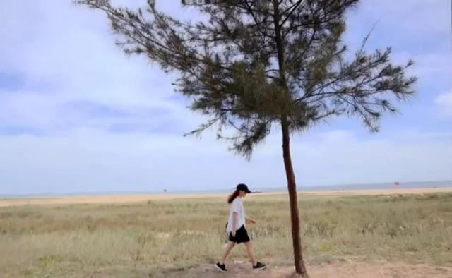 三亚1.5h直达！这座全国荔枝第一甜的海滨古城，