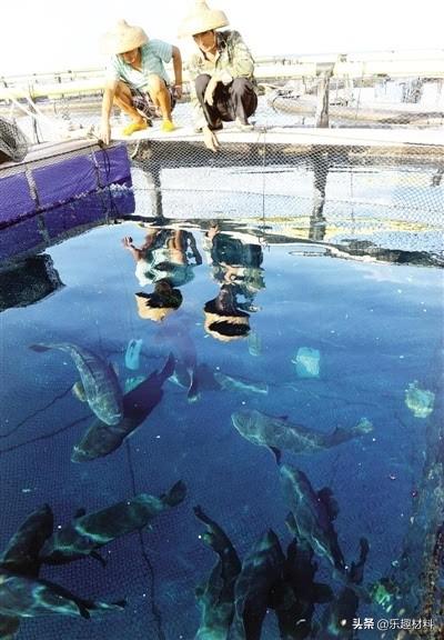 �й���ɳ�����ǣ�ȫ���߱���ס���˵��������Ҹ�������ʹ��