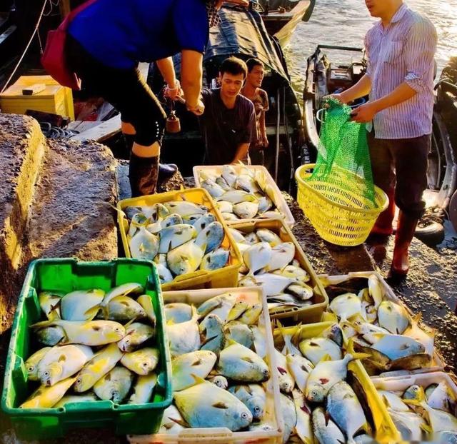 休渔期到了，海鲜的你吃到新鲜了吗？