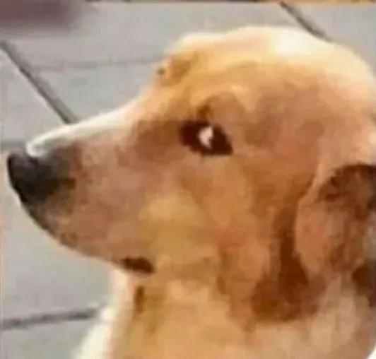 女厕|工作人员回应女厕频传大爷叹气声 《走近科学》剧组请注意……