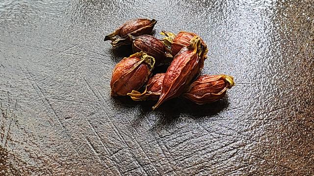 爱吃鸡翅试试这个做法，家人吃了都说好，简单美味又好吃