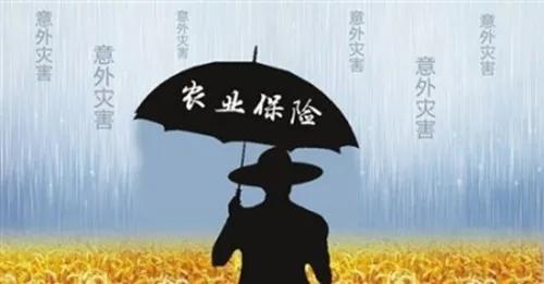 2020年重點惠農(nóng)政策來了！看看和你相關(guān)的有哪些？