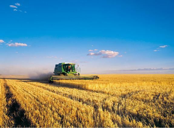 澳大利亚还未吸取教训，再次对中国做出过分举动，这次绝不容忍