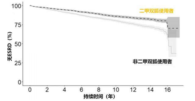 真相来了！长期吃二甲双胍伤不伤肾吗？