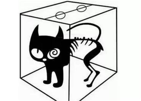 如果有一天，量子力学被证明是对的，人生将变