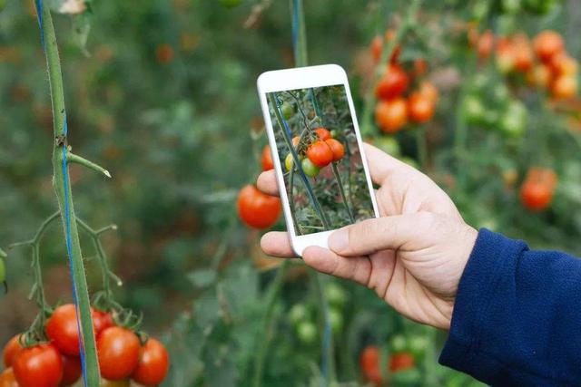 我国将推进农产品线上线下展销；休闲农业面临