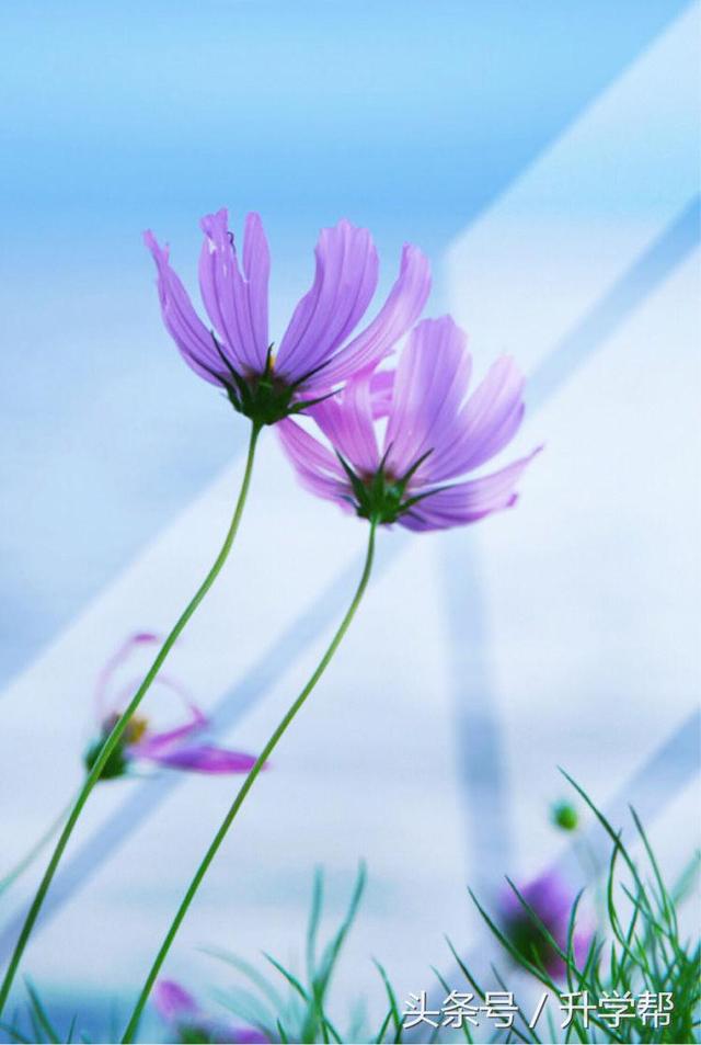 【游记】一路向西,心花怒放!