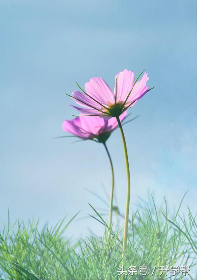 【游记】一路向西,心花怒放!