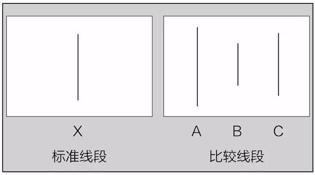 如何有效地推广自己的产品