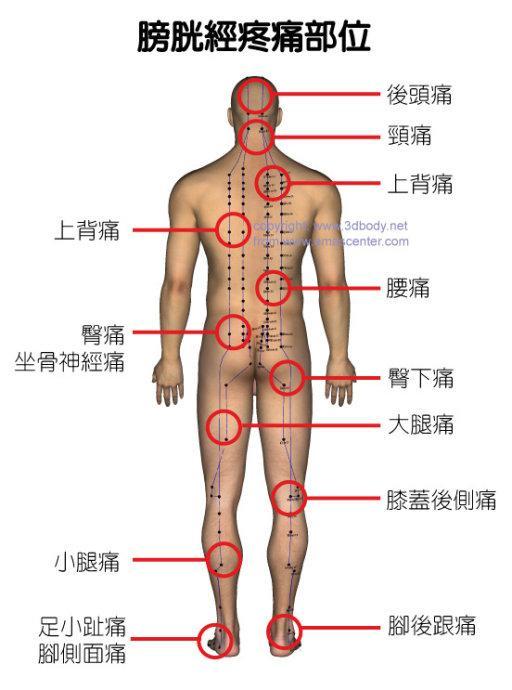 老中医5分钟教你看懂12经络，最全经络图送给你，哪里痛治哪里