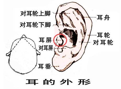 假声怎么发出？练假声的实用唱歌技巧都在这里！