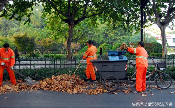 落叶季到啦，还不赶紧上一台电动扫地车！