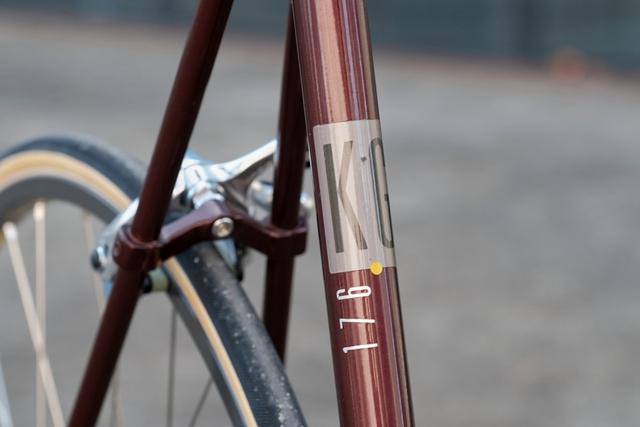 电变雏形 LOOK KG 176上的Mavic ZAP