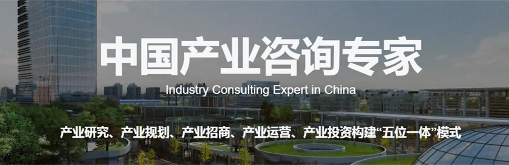 2020���й����˼�ʻ��ҵ����������ͼ�׼�Ͷ�ʻ����������