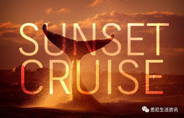 来了！4万多头座头鲸浩浩荡荡逼近悉尼港！气势