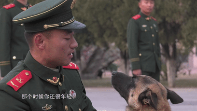 一生认一人！离开军营那一刻，退役警犬跳车飞