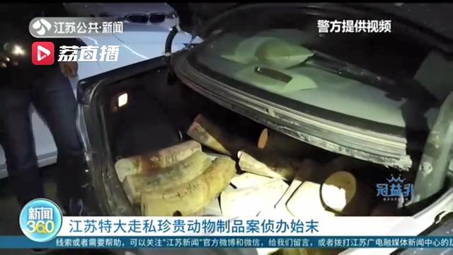 江苏特大走私珍贵动物制品案宣判！被告人走私563公斤象牙被判刑11年6个月