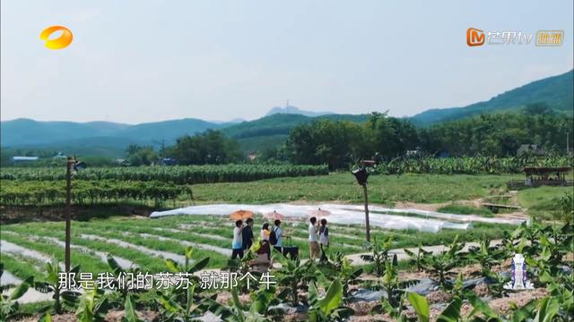 黄磊第一次做菜失败很难受，维嘉自责，冒着致癌的风险吃鸡
