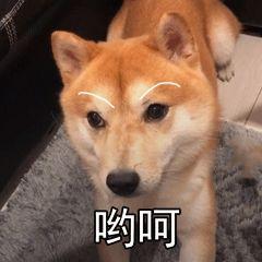 շСá߽񷨵㉔