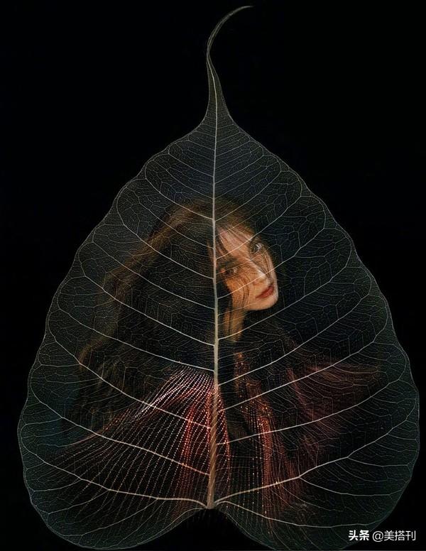 大片|Angelababy碎玻璃大片 高级脸四分五裂不影响颜值