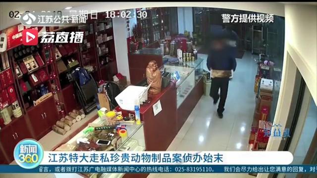 江苏特大走私珍贵动物制品案宣判！被告人走私563公斤象牙被判刑11年6个月