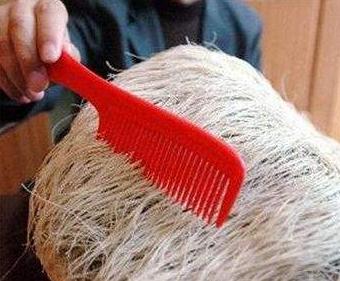 农民捡到一长满白发的石头，专家鉴定后，立马封锁整个村子