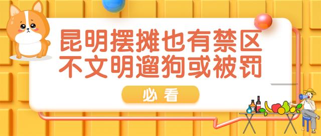 必看！昆明摆摊也有禁区 不文明遛狗或被罚... | 心连心