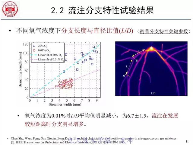 青年学者报告｜湖南大学陈赦：空气间隙流注分支特性及三维模型