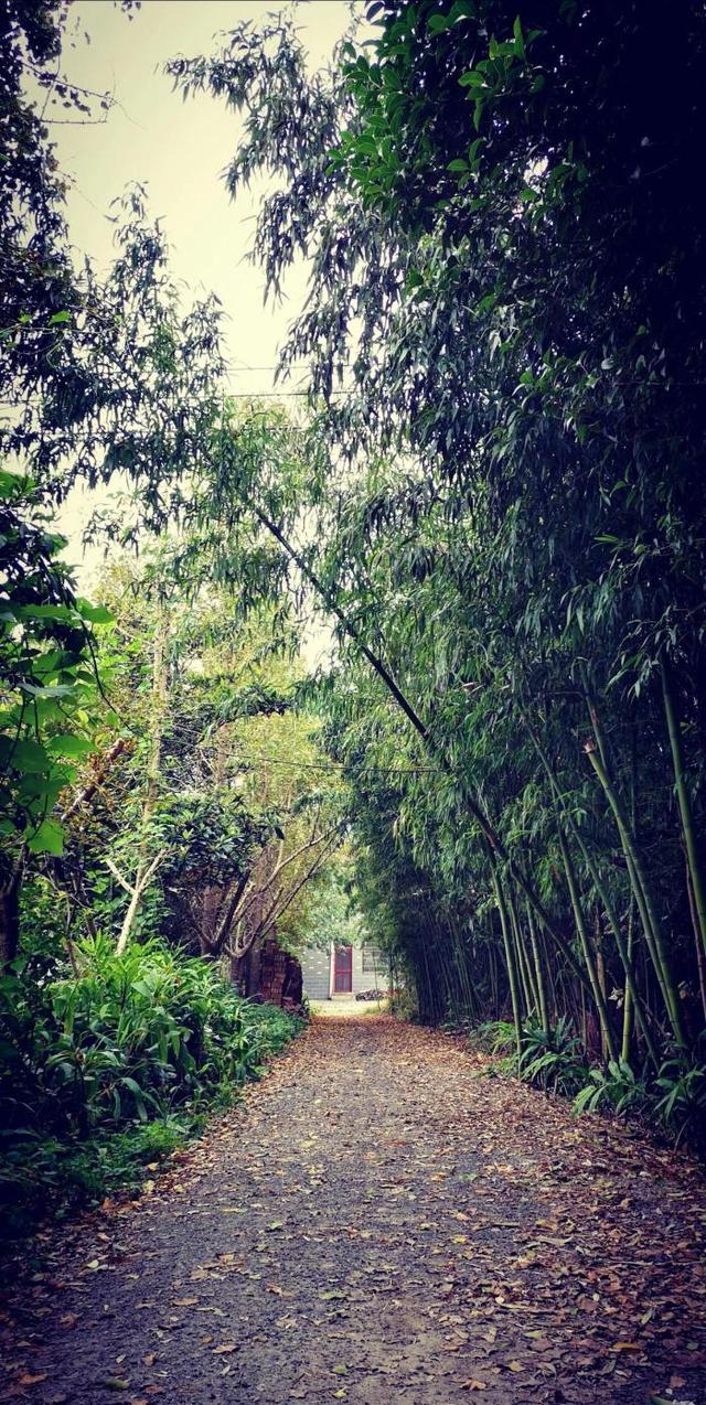 《天道》肖亚文从助理到格律诗“掌门人”，逆