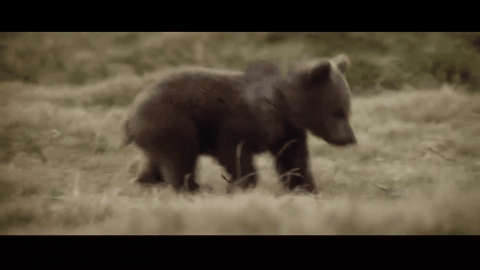 ����9.1�֣���ʵ�¼��ı࣬�ⲿ���ص�Ӱ���ҿ�һ�ο�һ��