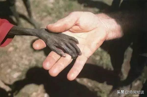 100年来震惊人类灵魂的13张新闻照片！全人类都应