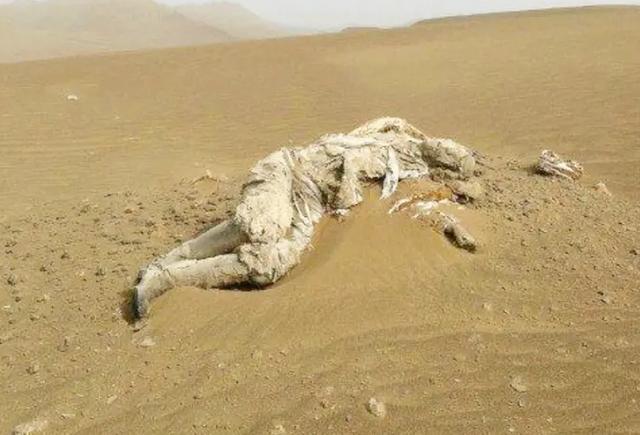 5万人的军队神秘失踪，几千年后，专家在茫茫沙