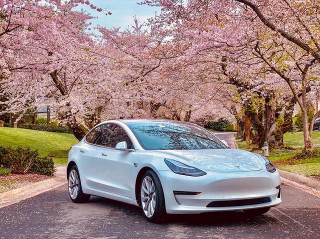 特斯拉Model 3热卖无人能追？上半年全球销售14.23万辆