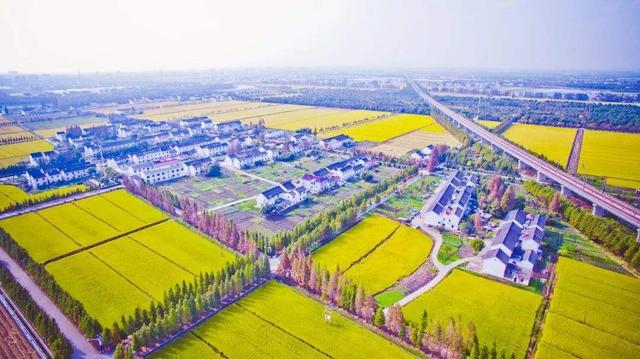 黄浦江以南的上海市松江区泖港镇：人口少、离