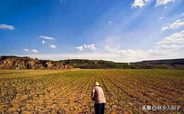 农村土地纠纷的类型和处理方法