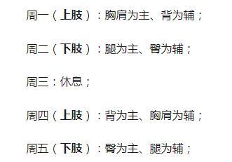 三分化还是五分化训练好？
