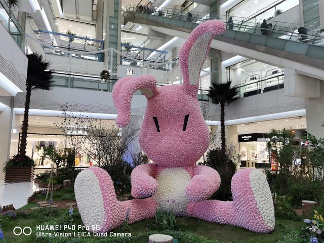 华为P40 Pro体验：用手机拍出好照片，其实真的很