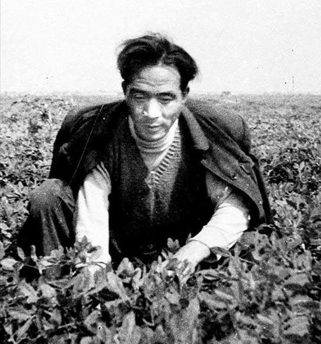 焦守凤,在酱菜厂当工人,每天切辣椒，父亲焦裕禄