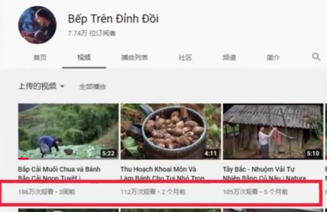 越南博主抄袭李子柒，拍摄手法如出一辙，网友痛斥“不要脸”
