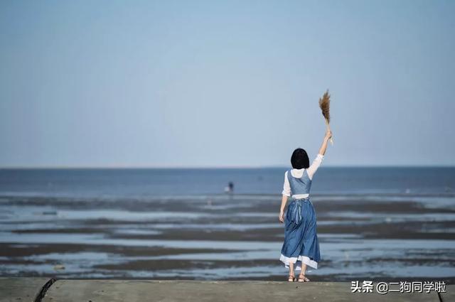 65岁陈道明再上热搜：“我劝你做个无用的人”