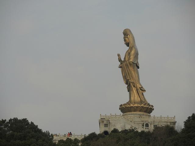 ����������-����ɽ���������ӣ�������