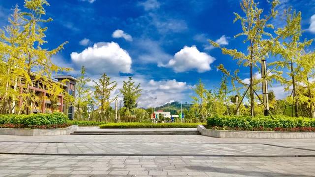 雅安除了“雅雨”、“雅鱼”、“雅女”，还有雅安职业技术学院