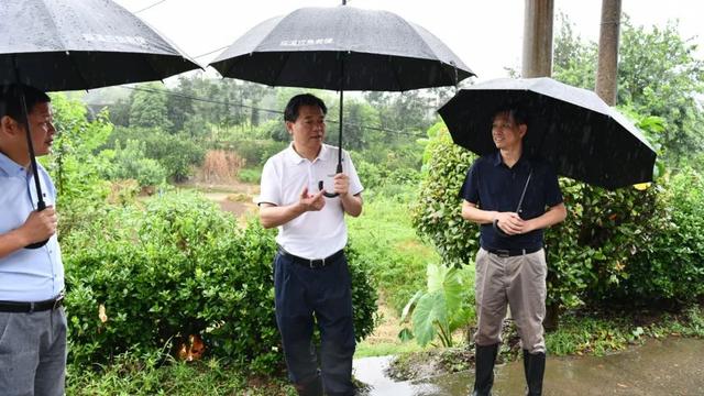 全力以赴防汛抗灾 从严落实主体责任石希欣深入辰溪督导防汛工作