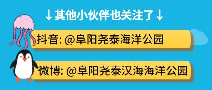 2020年高考查分已开启！汉海海洋公园福利来袭！